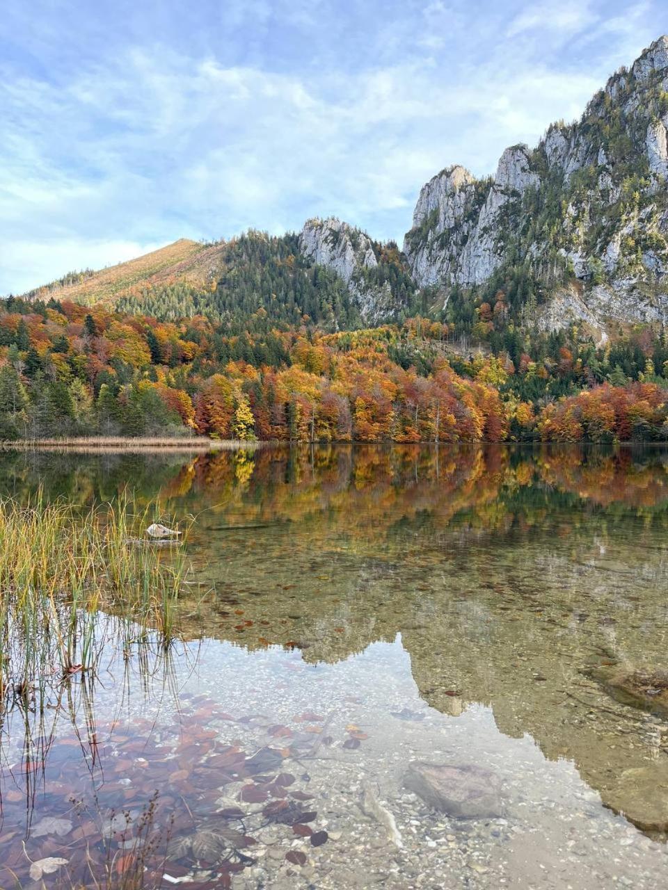 Pension Schindlau Scharnstein Экстерьер фото